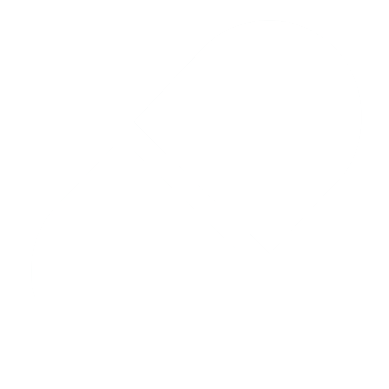 PumpFun Logo